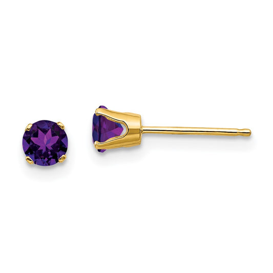 Amethyst Stud Earrings