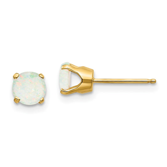 Opal Earrings Stud